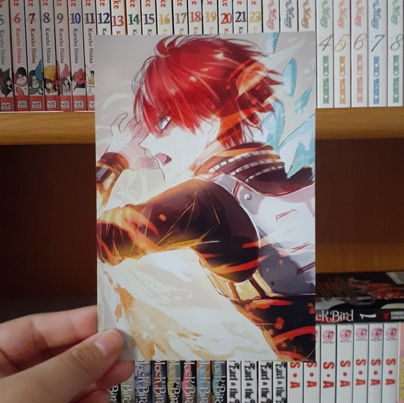 My Hero Academia; Todoroki Photo #3 - Picture 2 of 2